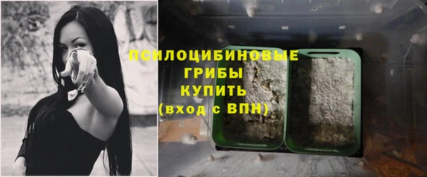 амф Нефтекумск