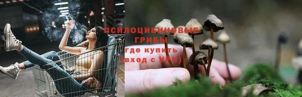 Альфа ПВП Аша