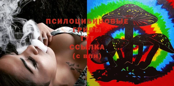 соль ск Нефтегорск